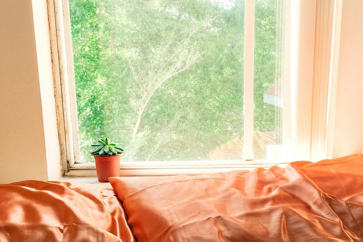 An empty, neatly made bed in morning light